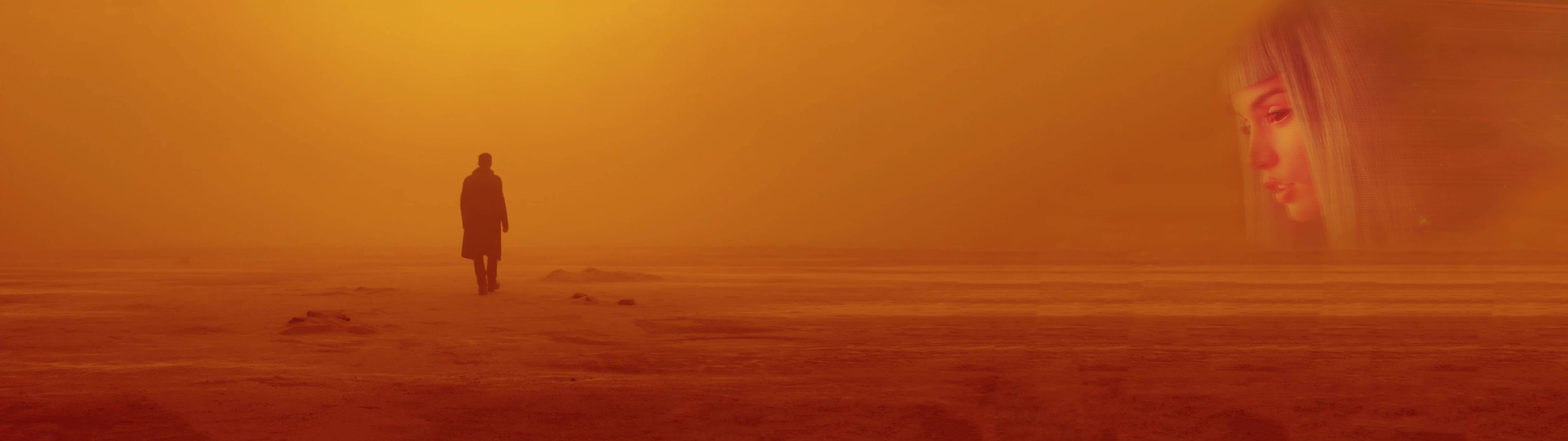 Kとジョイ、雨の中を散歩する 壁紙