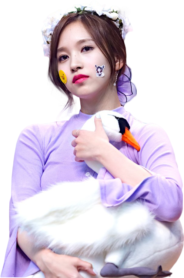 Kpopスターとぬいぐるみの白鳥 壁紙