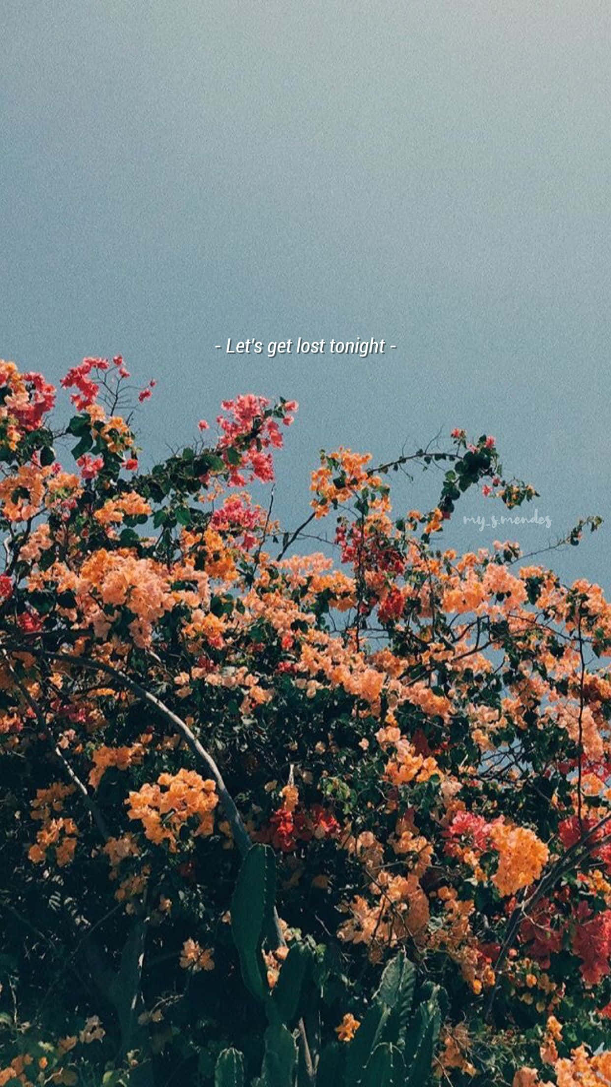 花の写真に「love you first thought」の文字が入った画像 壁紙