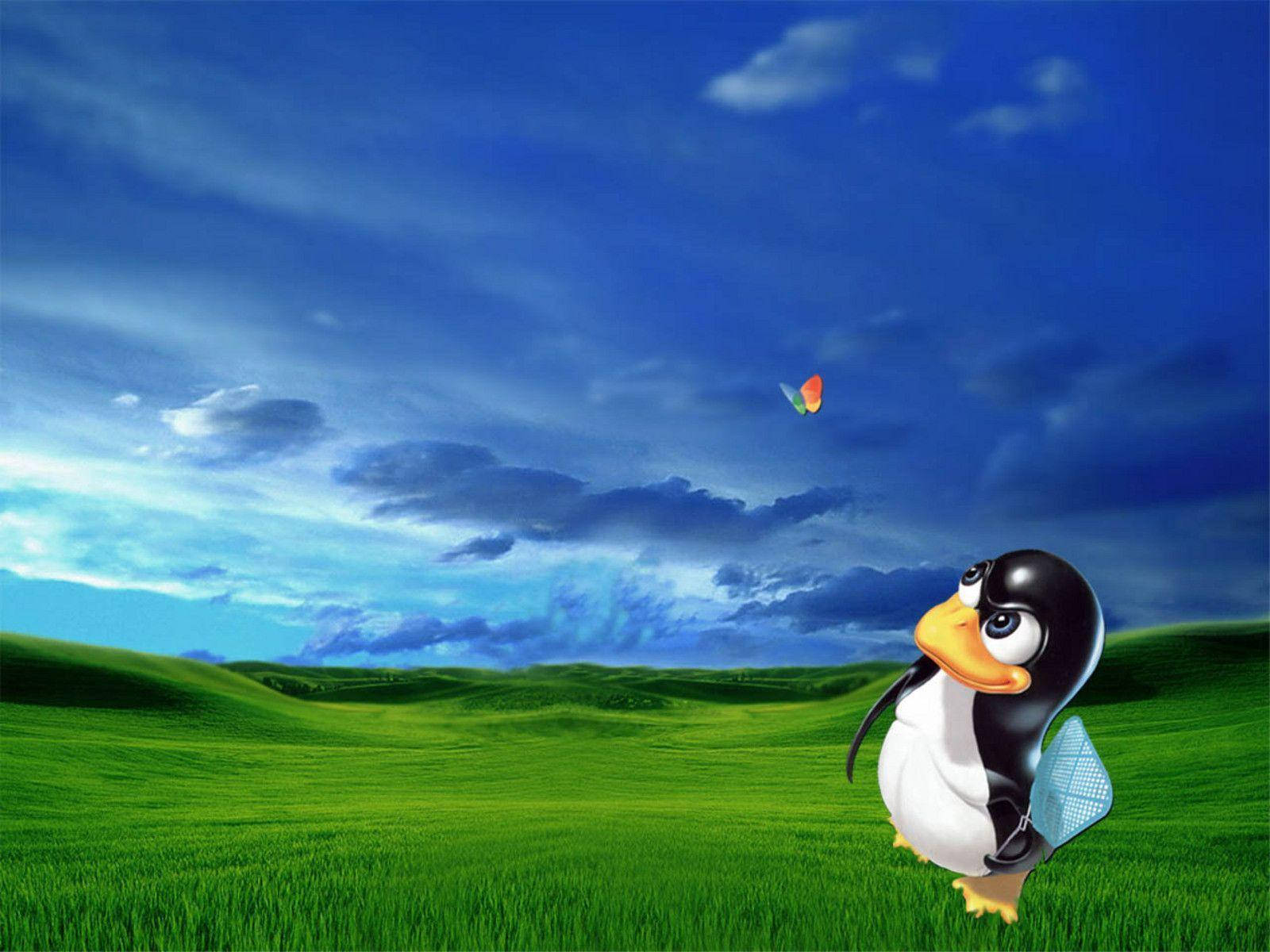MSN蝶とTuxペンギン 壁紙