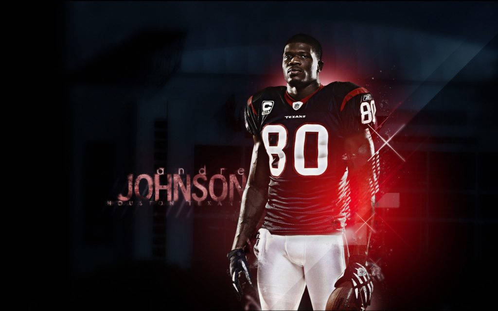 NFLフットボール選手 アンドレ・ジョンソン 壁紙