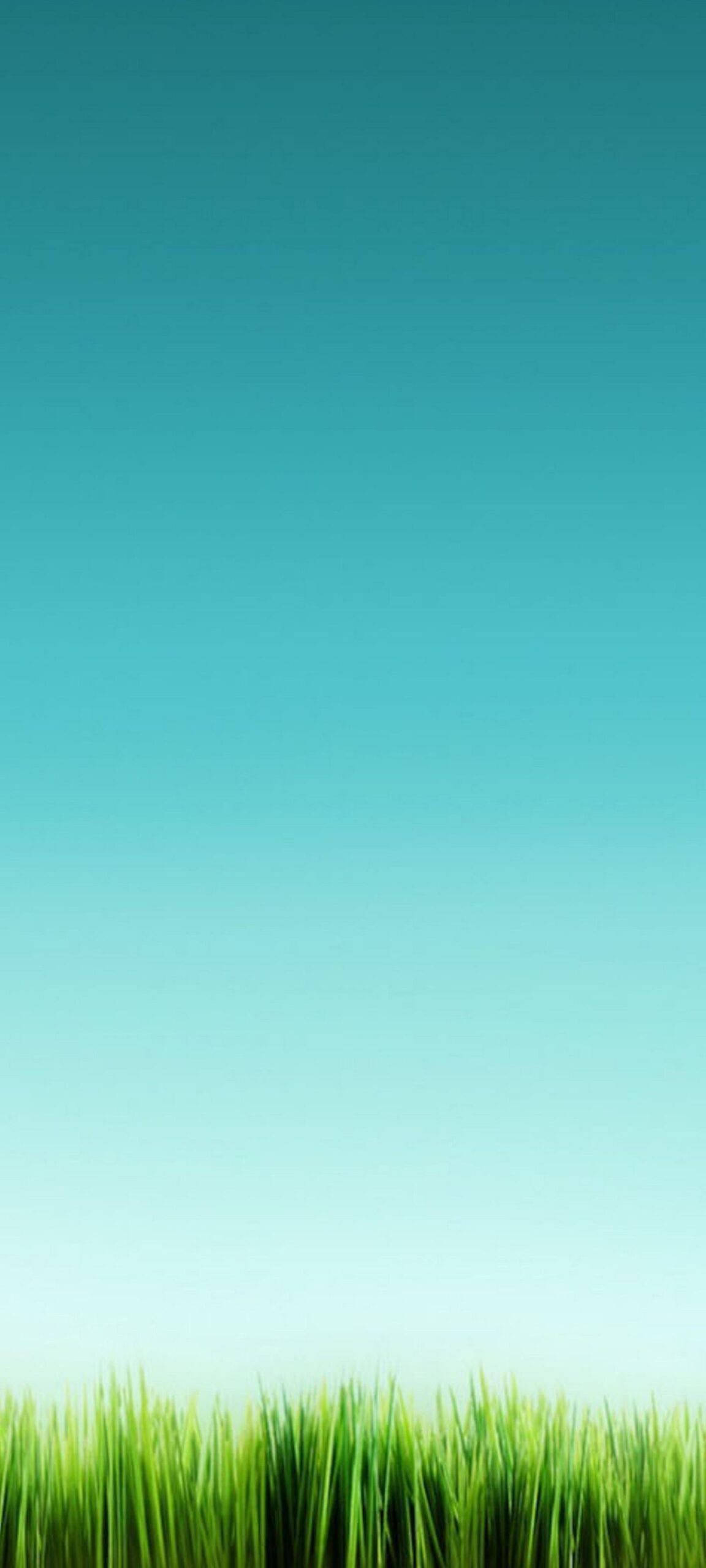 OnePlus 8 Pro の静かなスカイライン 壁紙