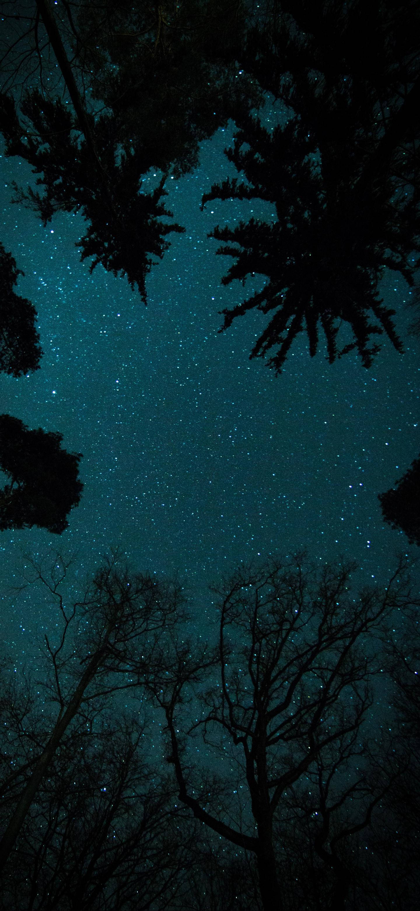 OnePlus 星空の夜 壁紙