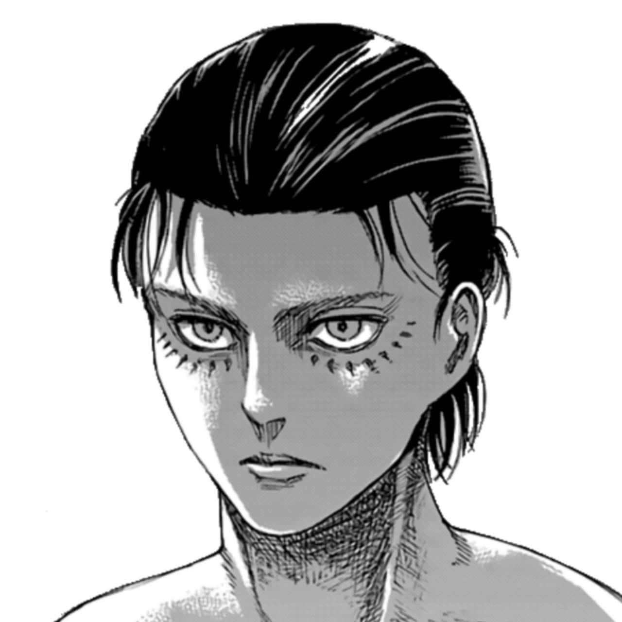 漫画エレン・イェーガーPFP 壁紙