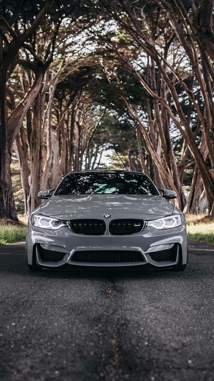 Pixel 3 BMW M4 シルバーストーンメタリックIIの壁紙 壁紙