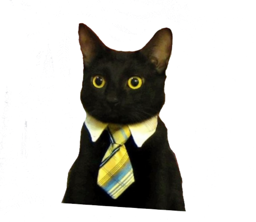 ビジネスキャットミーム.PNG 壁紙