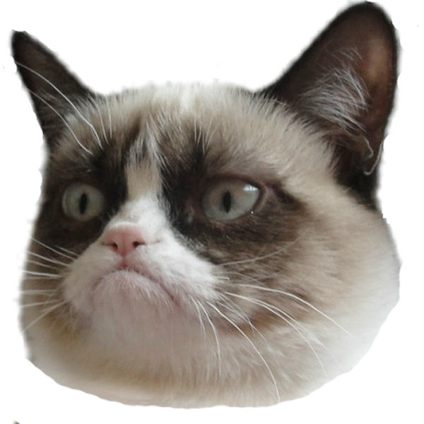 不機嫌そうな猫の顔_透過背景.PNG 壁紙