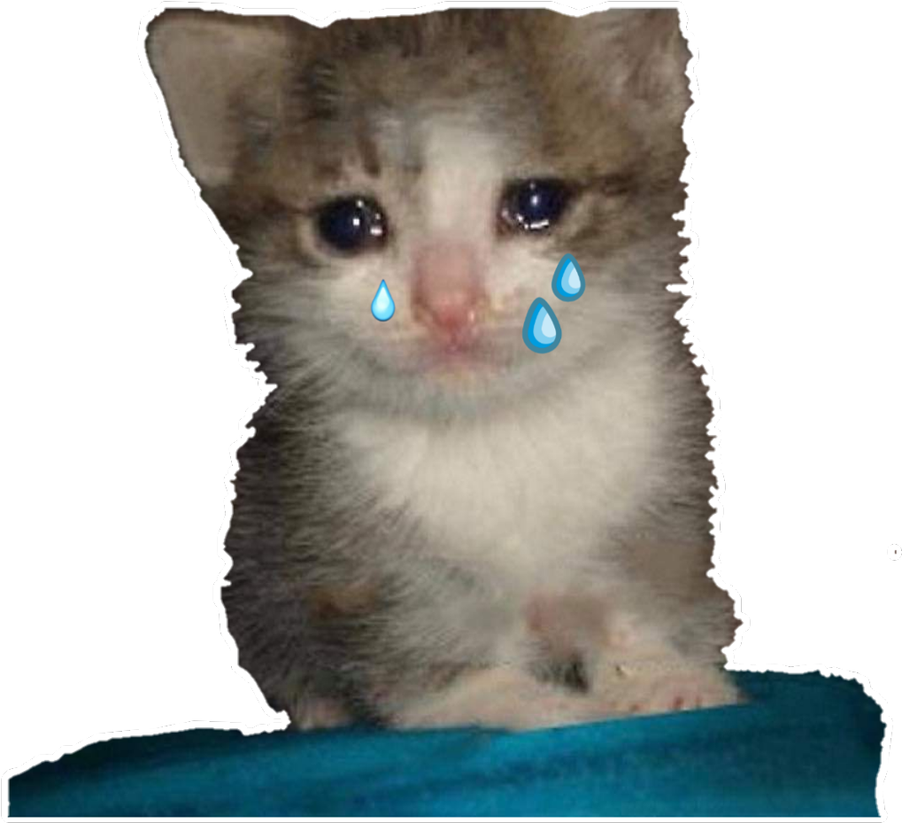 泣いている子猫のミーム.PNG 壁紙