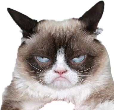 不機嫌そうな猫の表情.PNG 壁紙