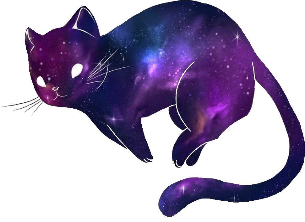 宇宙かわいい猫.PNG 壁紙