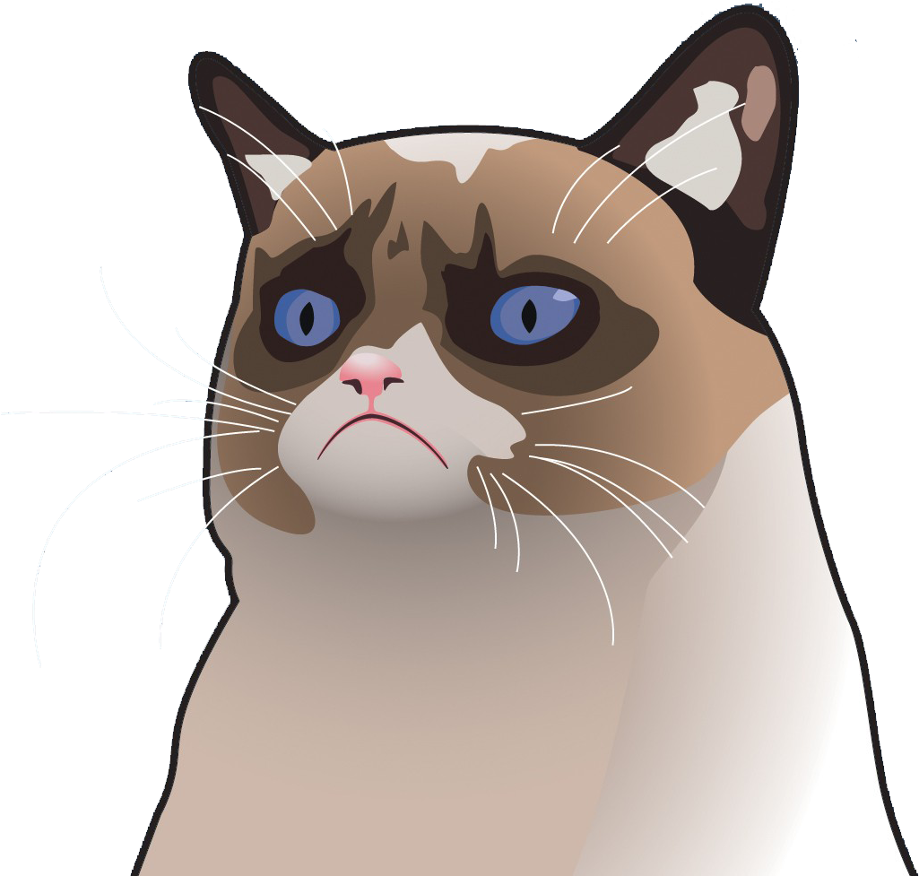 不機嫌な猫のカートゥーン表情.PNG 壁紙