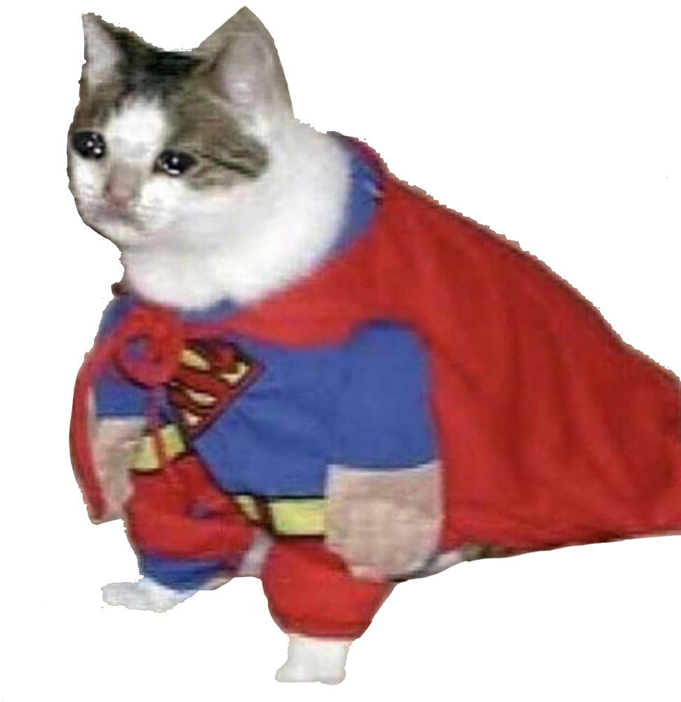 スーパーキャット_ヒーロー_ミーム.PNG 壁紙