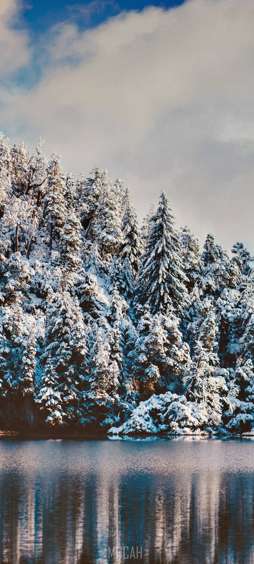 Realme 7 Pro 雪の森 壁紙