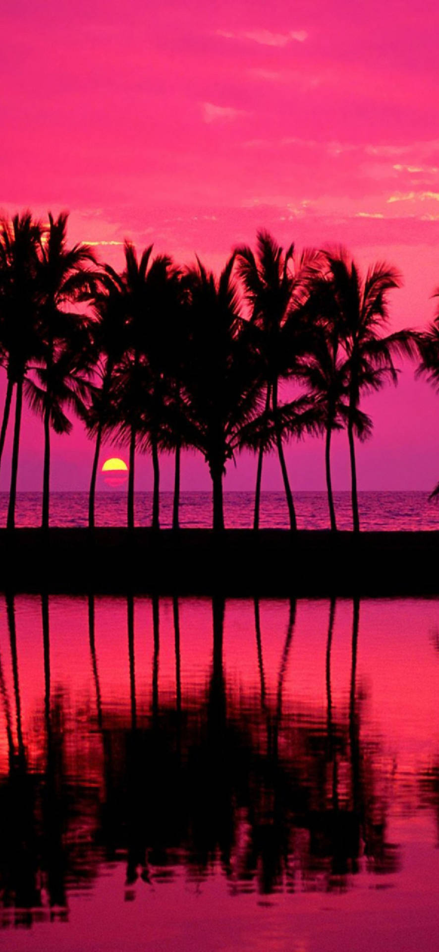 Samsung Galaxy S22 ビーチの夕日 壁紙 — Samsung Galaxy S22 GIF 壁紙