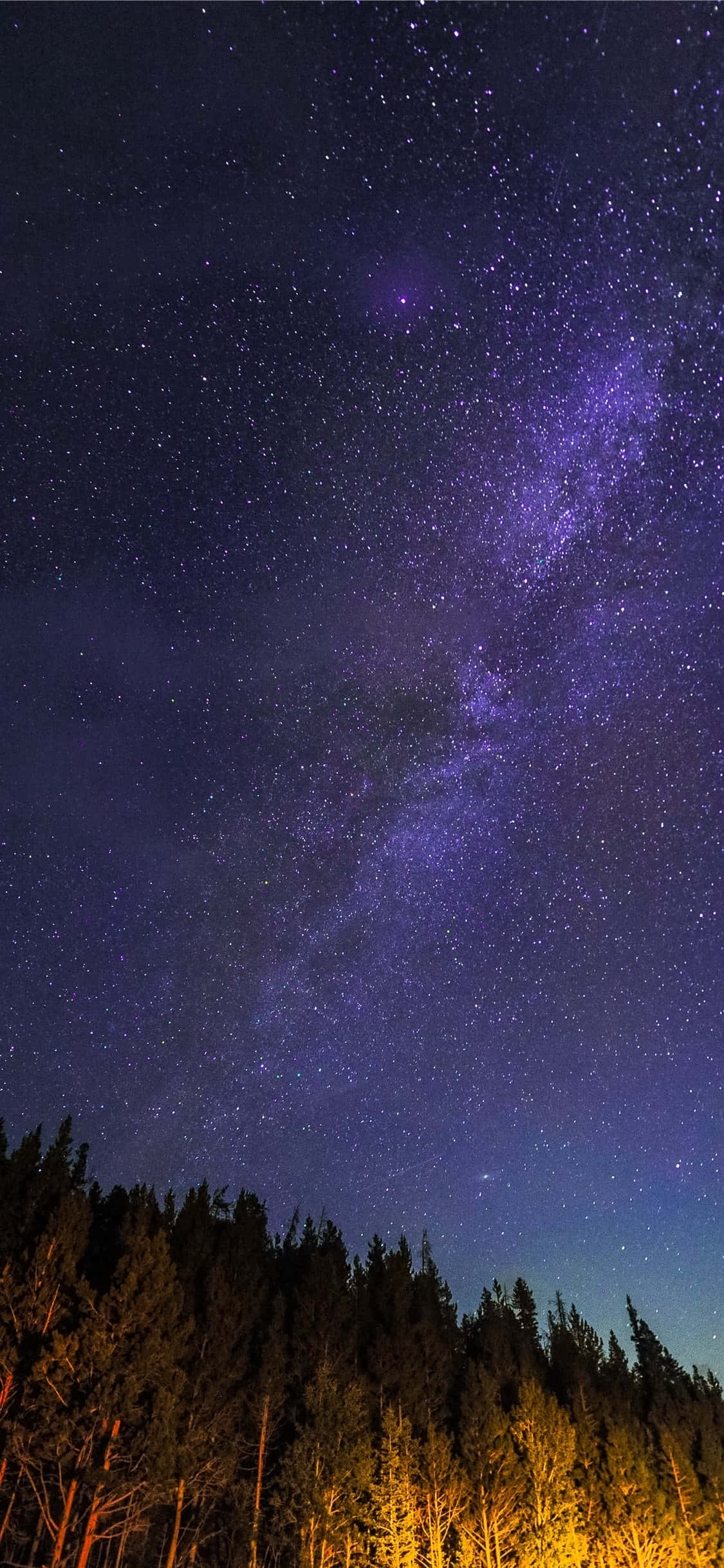 Starry_Night_Over_Forest.JPG 壁紙