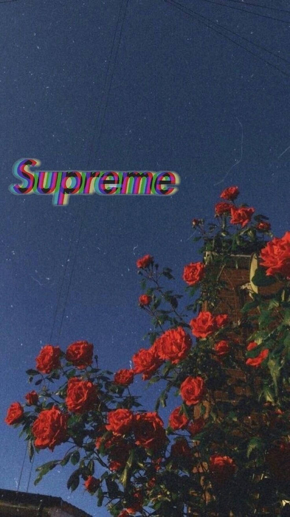 Supreme エステティックな夜空 壁紙