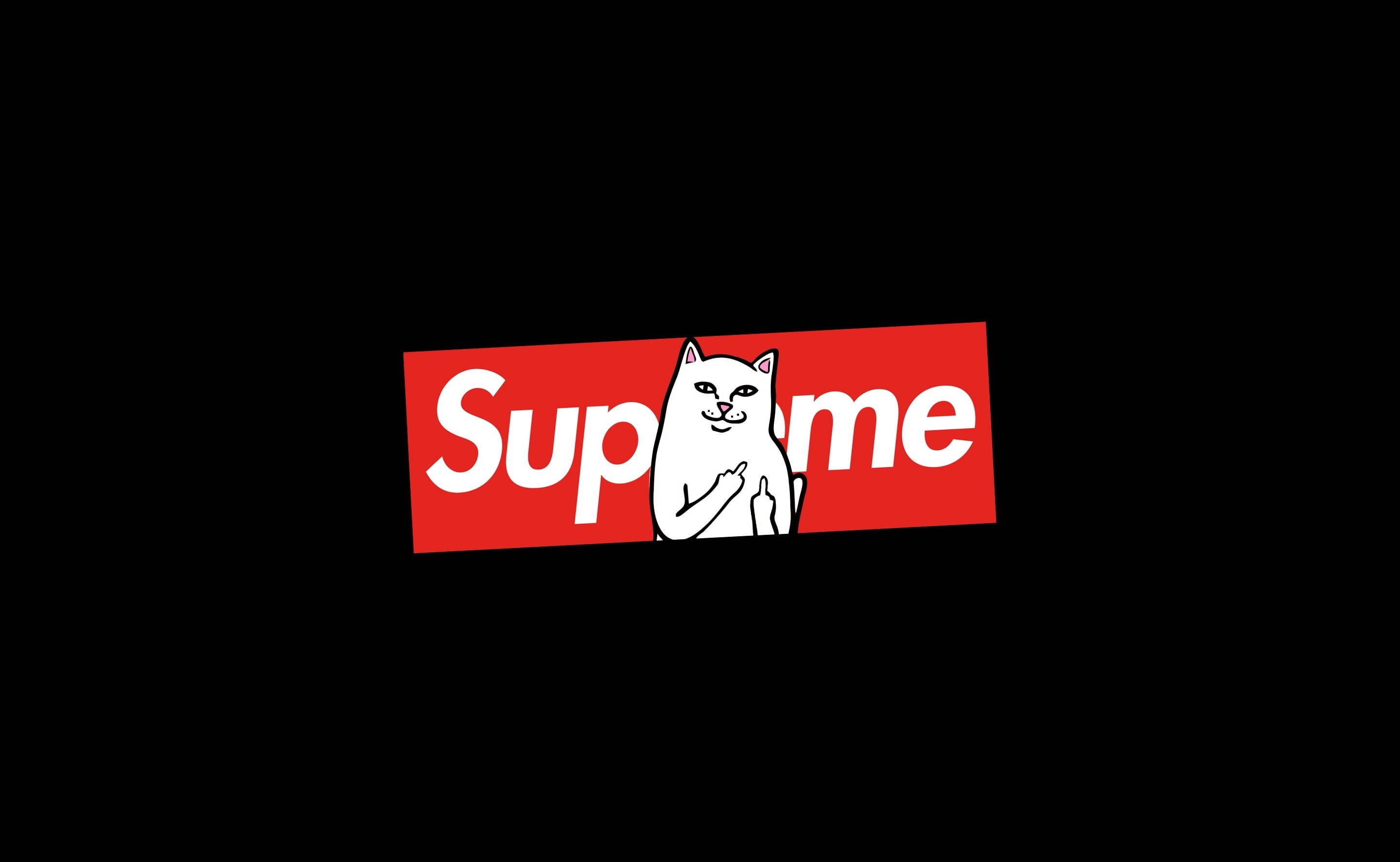 Supremeのノートパソコンに座る猫 壁紙