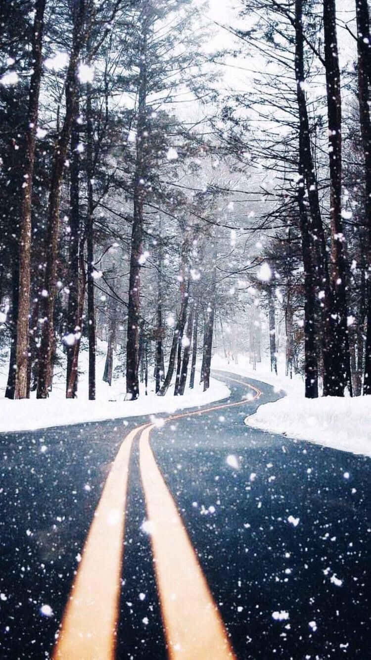 居心地の良い冬の道 Tumblr 壁紙