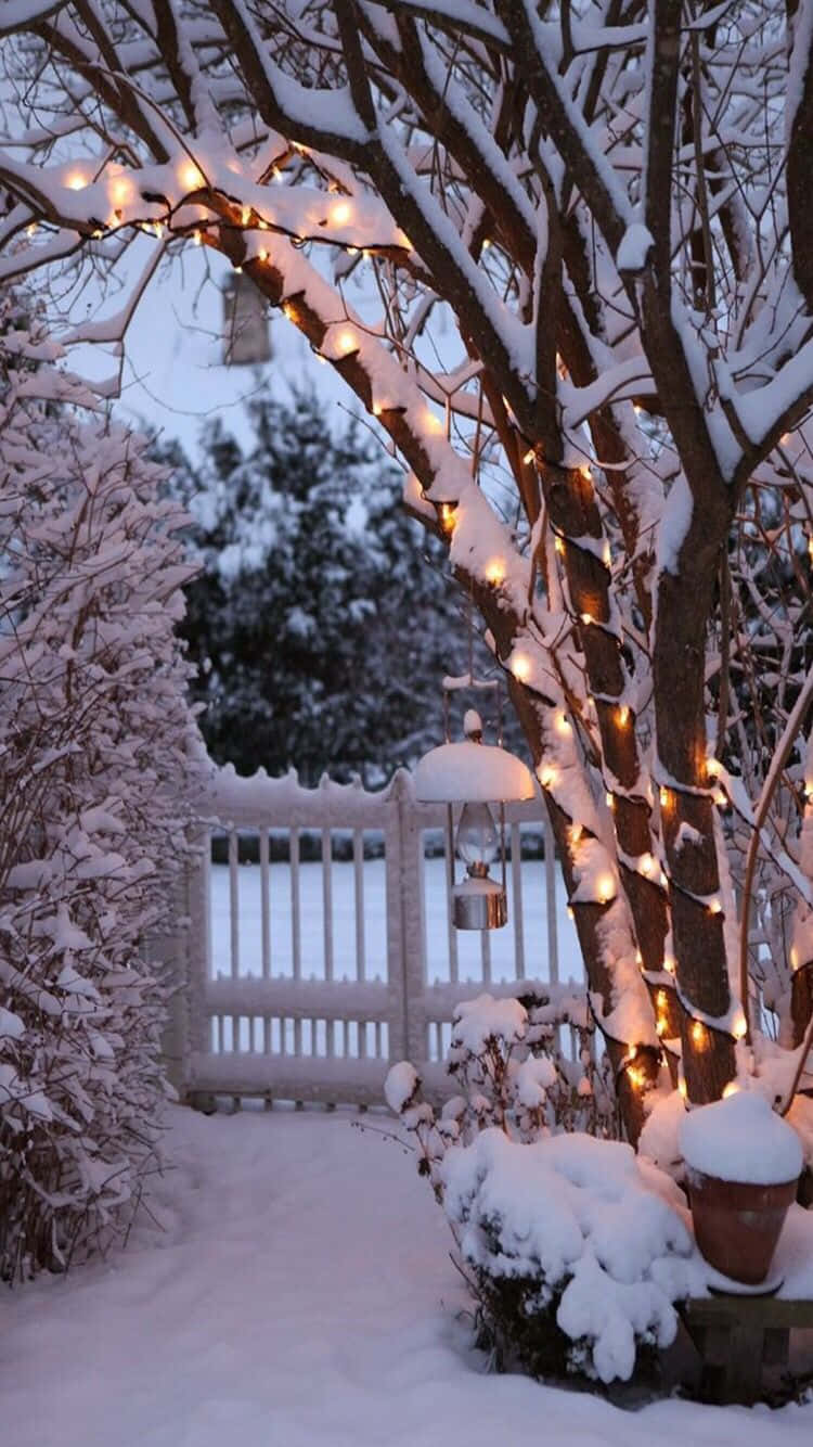 雪の門と居心地の良い冬のTumblr 壁紙