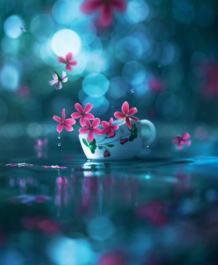 WhatsApp DP 花のカップ 壁紙