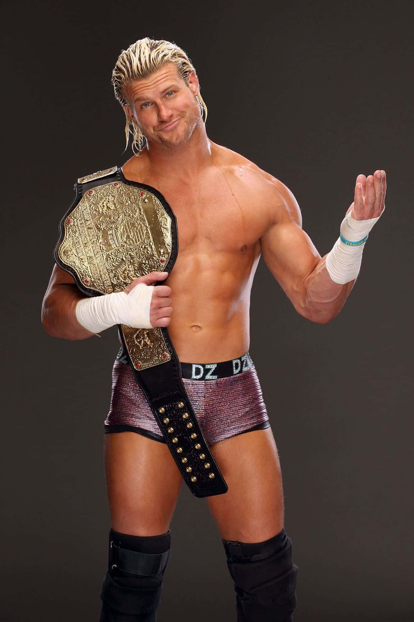 ドルフ・ジグラー WWEチャンピオン 壁紙