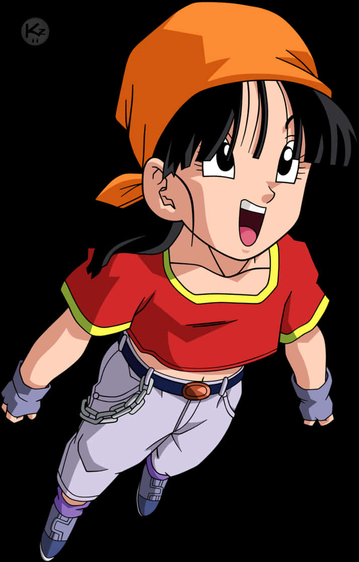 ドラゴンボールZ アニメキャラクター パン 壁紙