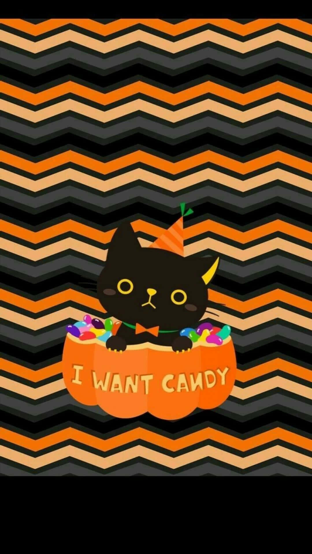 おしゃれで可愛いハロウィンの黒猫とカボチャ 壁紙
