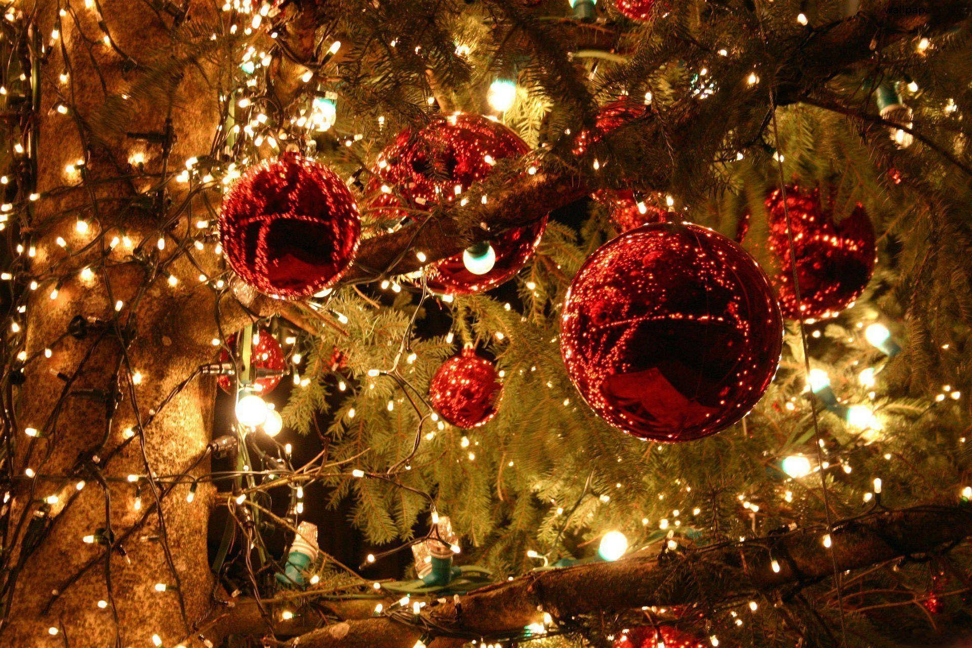 おしゃれなクリスマスツリーとイルミネーション 壁紙