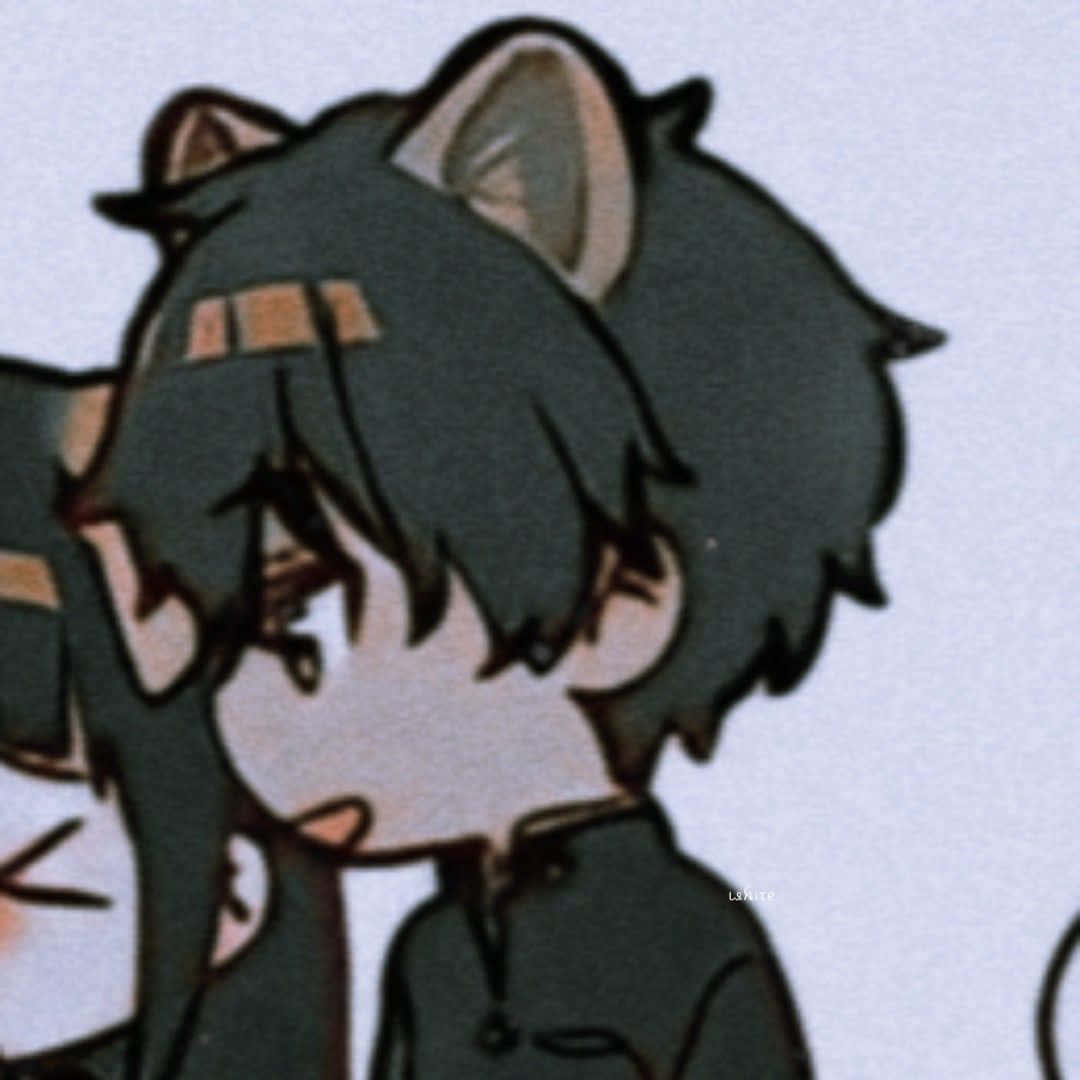 おそろいカップルアイコン アニメ猫少年 壁紙