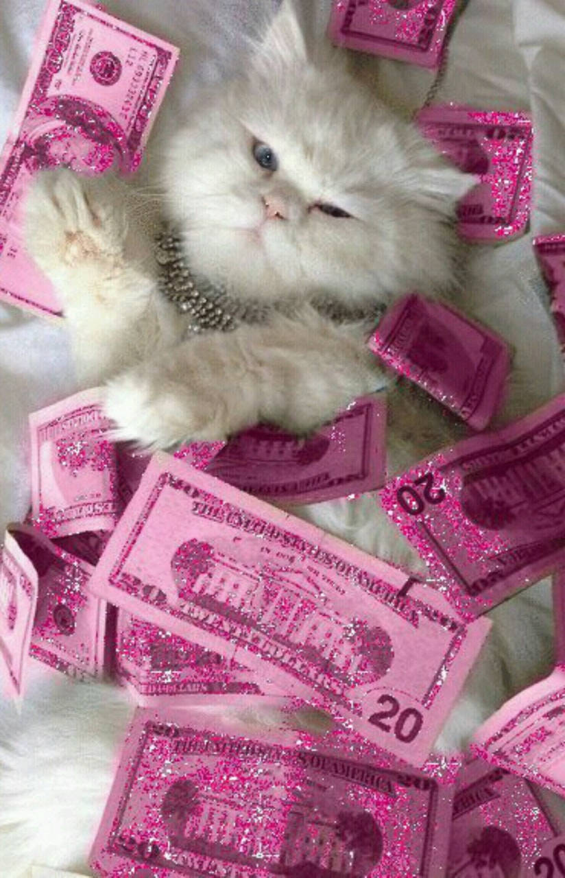 お金の背景 ピンクの美しい札と猫 壁紙