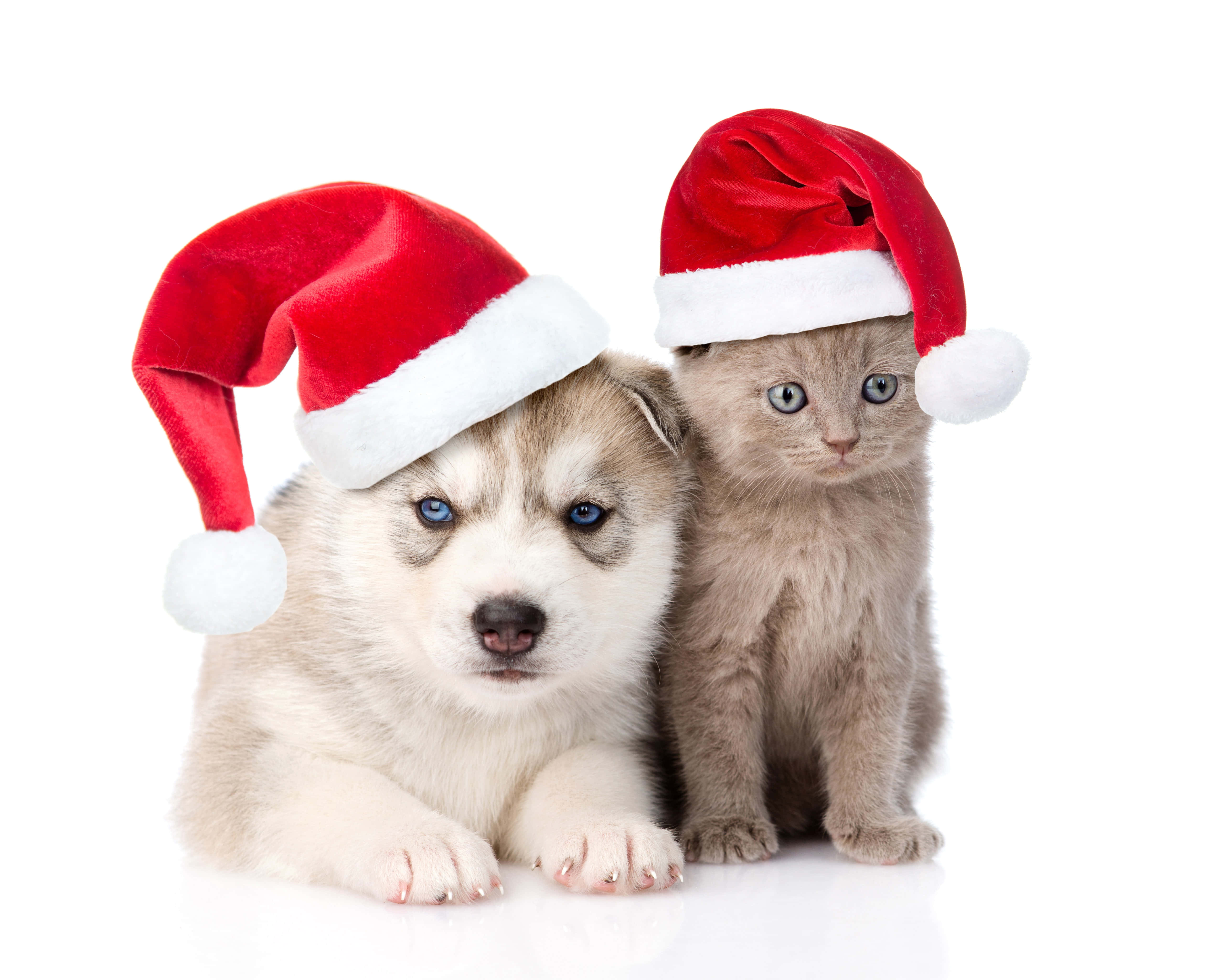 かわいいおしゃれなクリスマス画像 壁紙
