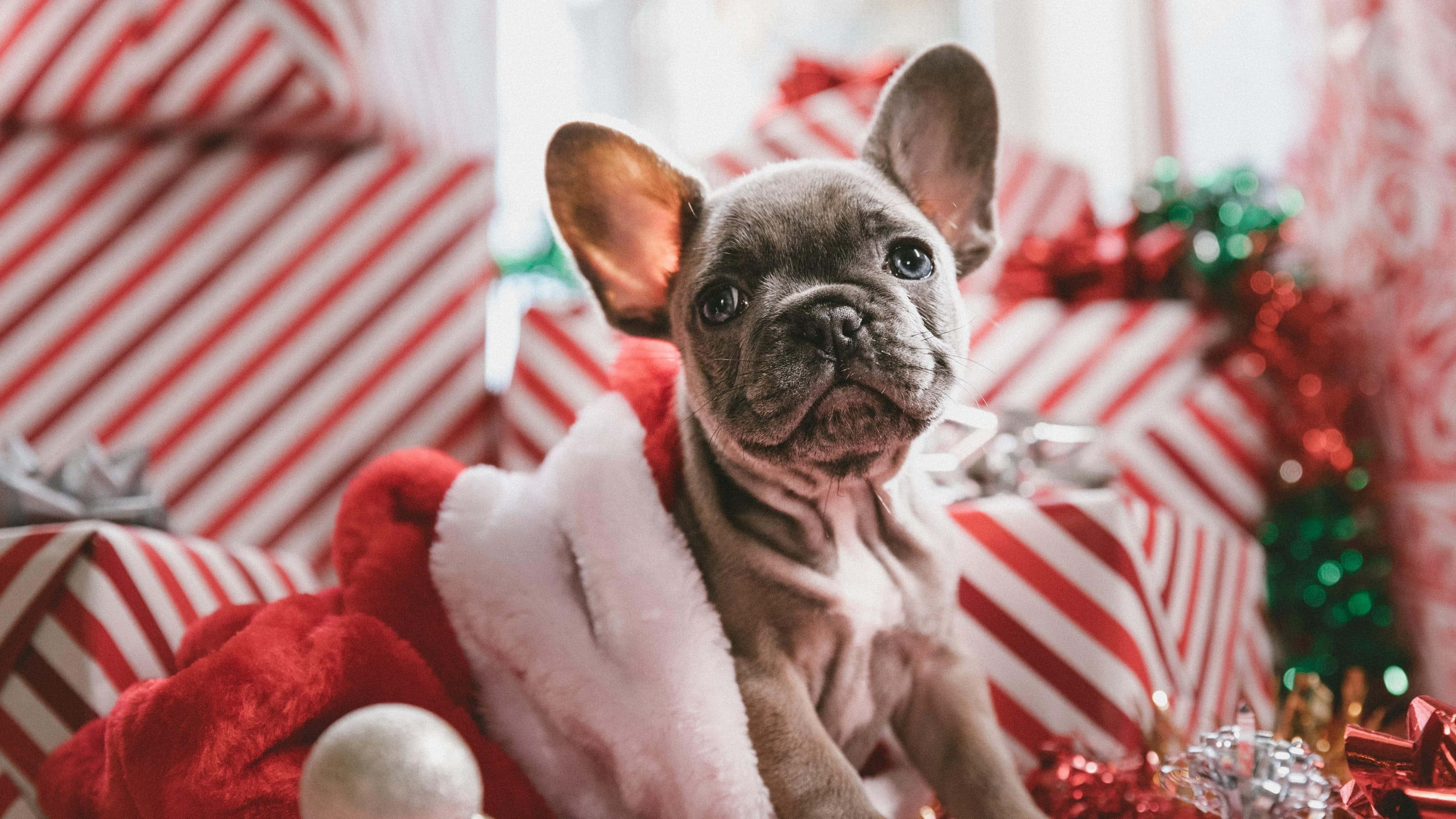 かわいいおしゃれなクリスマス画像 壁紙