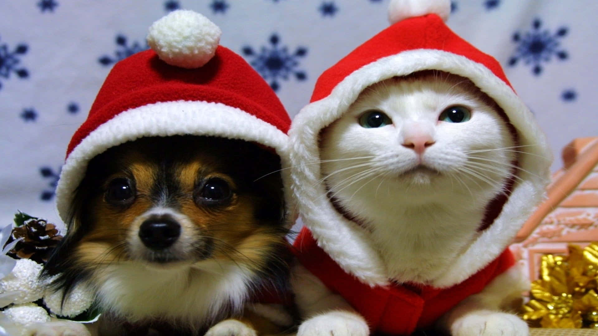 かわいいおしゃれなクリスマス画像 壁紙