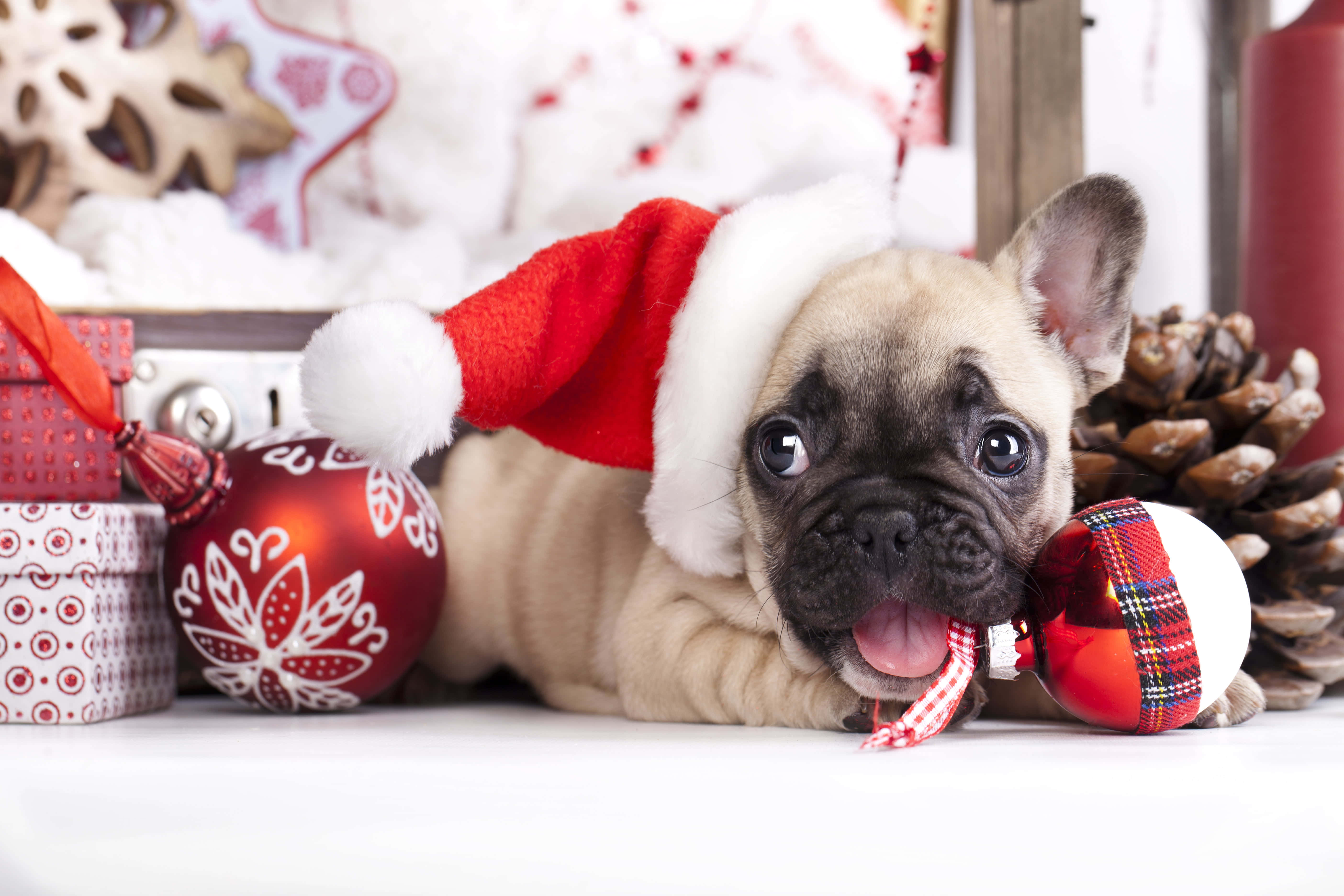 かわいいおしゃれなクリスマス画像 壁紙