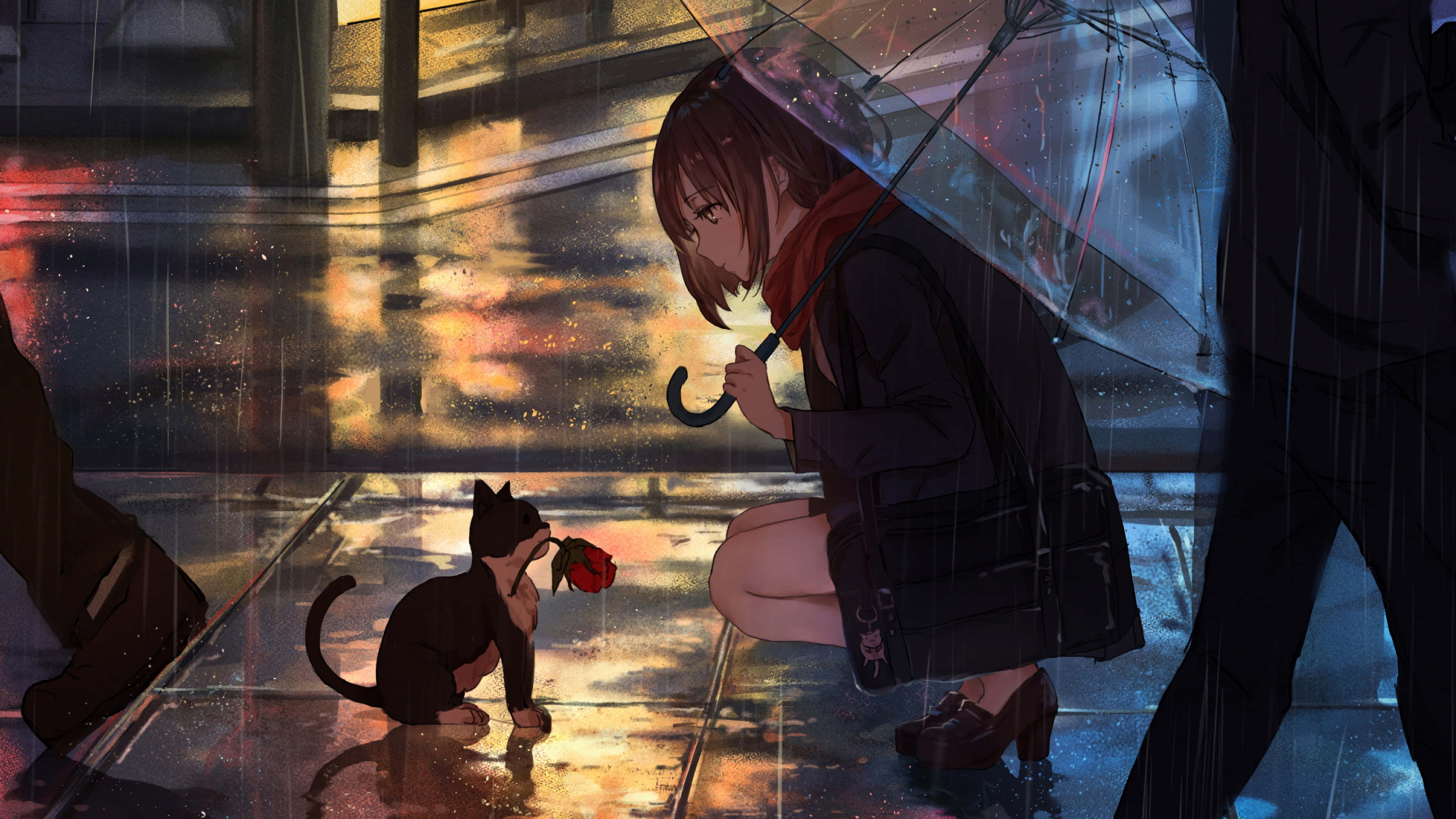 かわいいアニメの猫がぐっすり眠る姿 壁紙