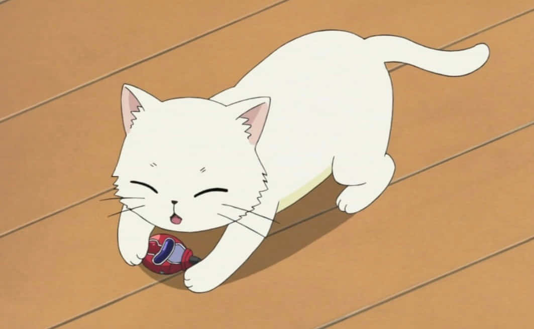 かわいいアニメの猫が冒険に出かける 壁紙