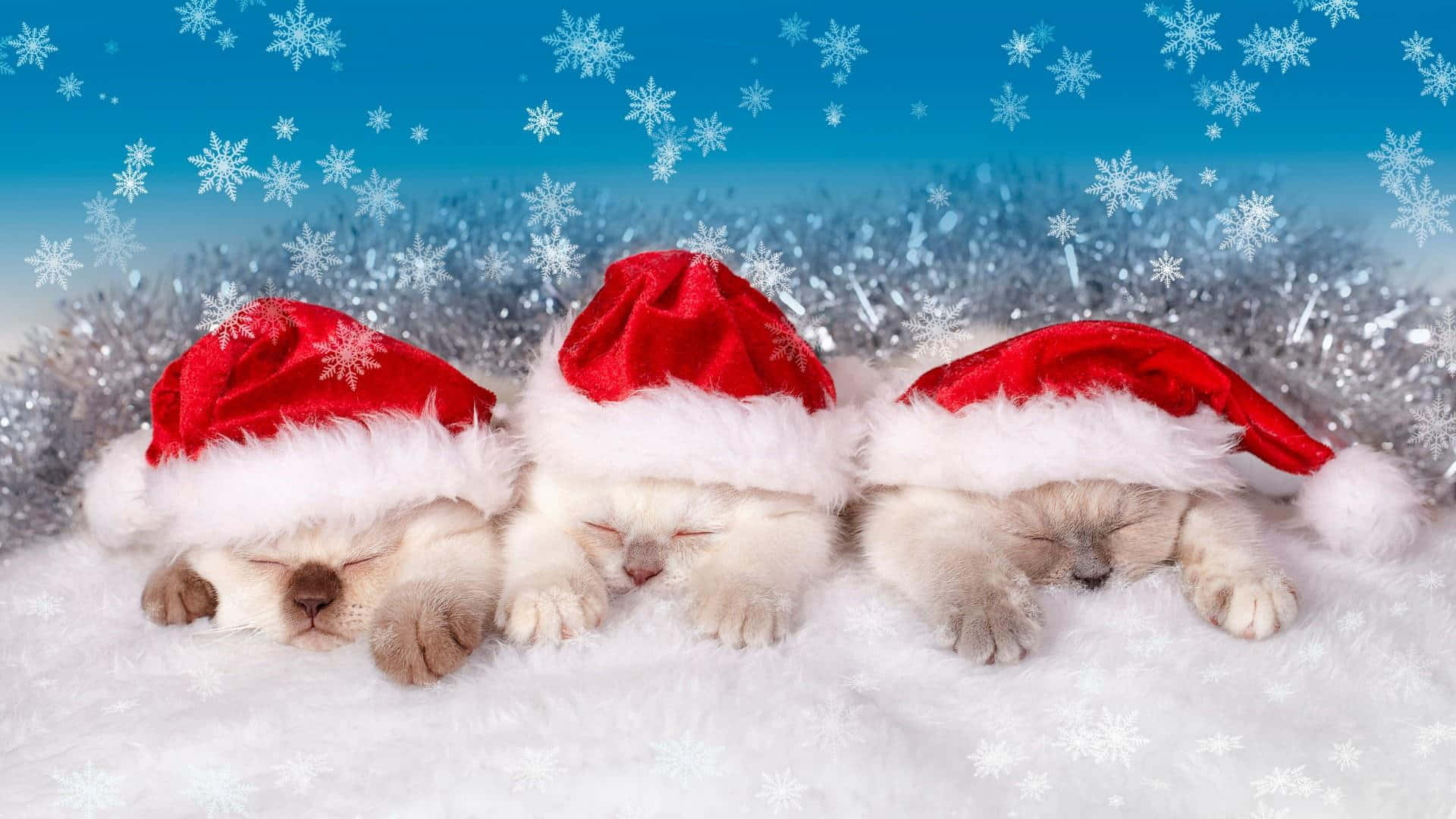 かわいいエステティックなクリスマスシーンでホリデーの喜びを広げよう。 壁紙