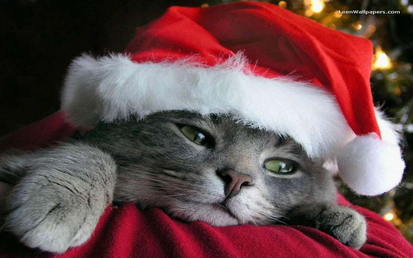 かわいいクリスマス画像 壁紙