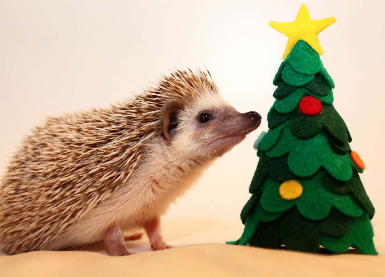 かわいいクリスマス画像 壁紙