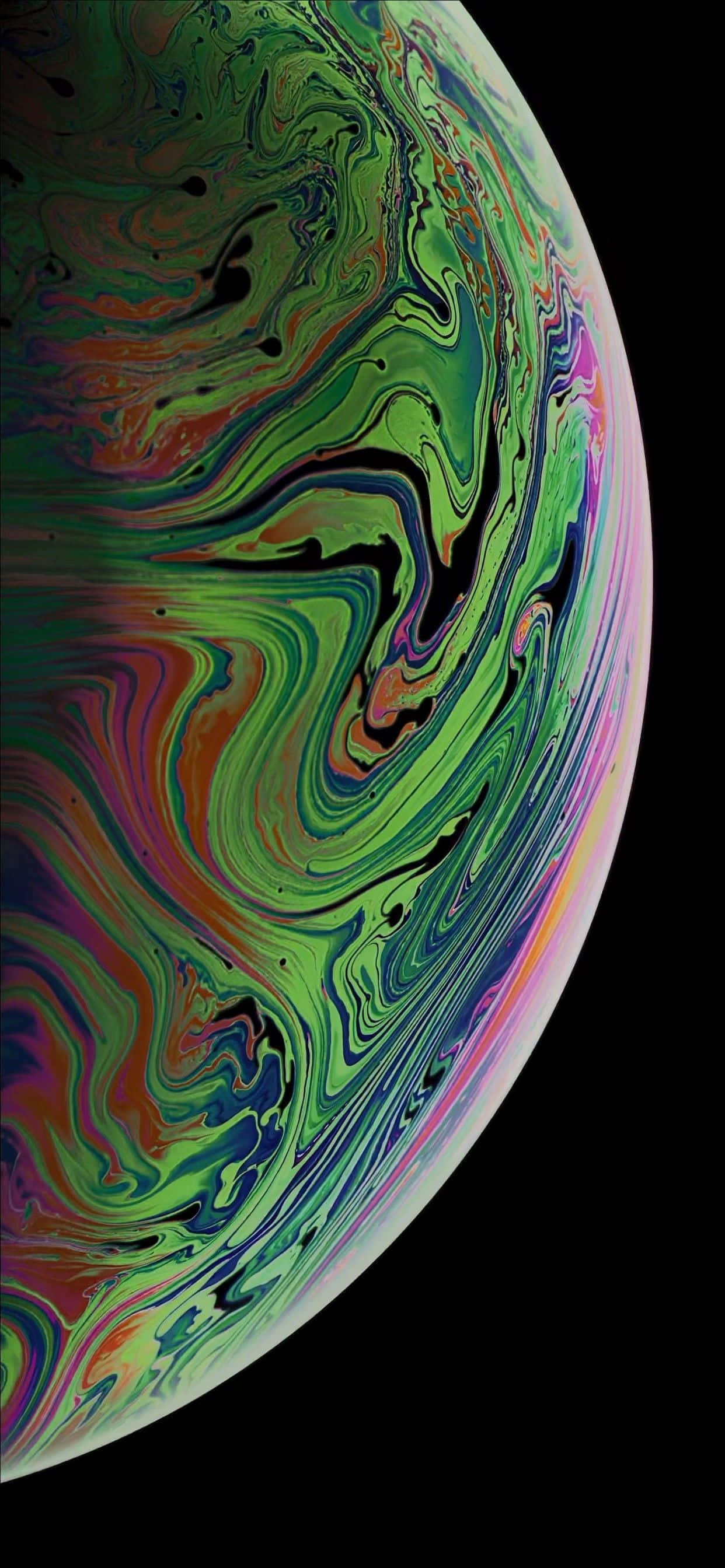 かわいいコアラのiPhone壁紙 壁紙