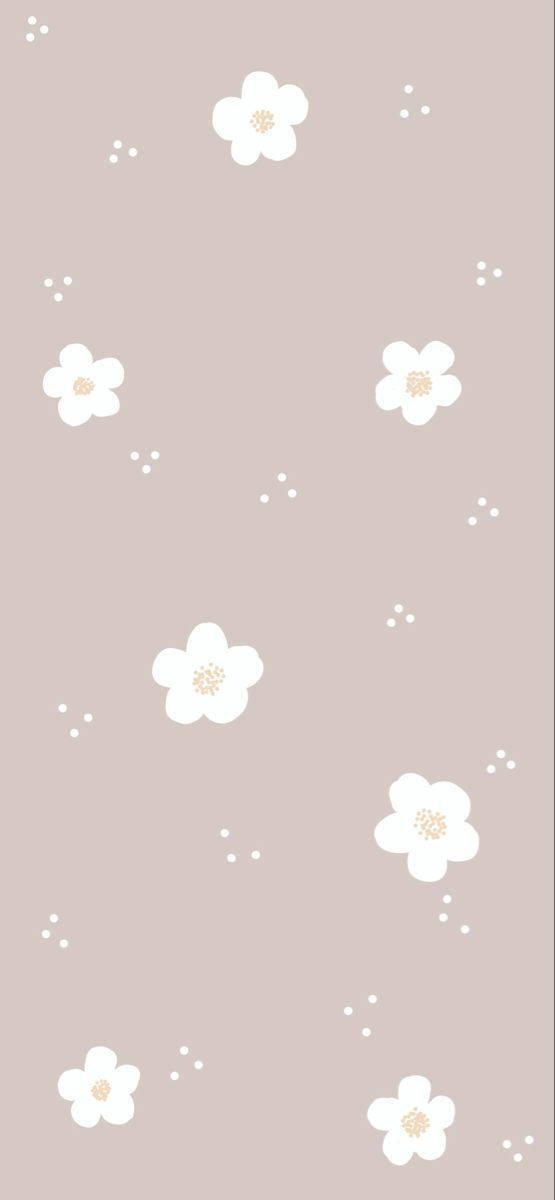 かわいいシンプルな茎なし白い花 壁紙