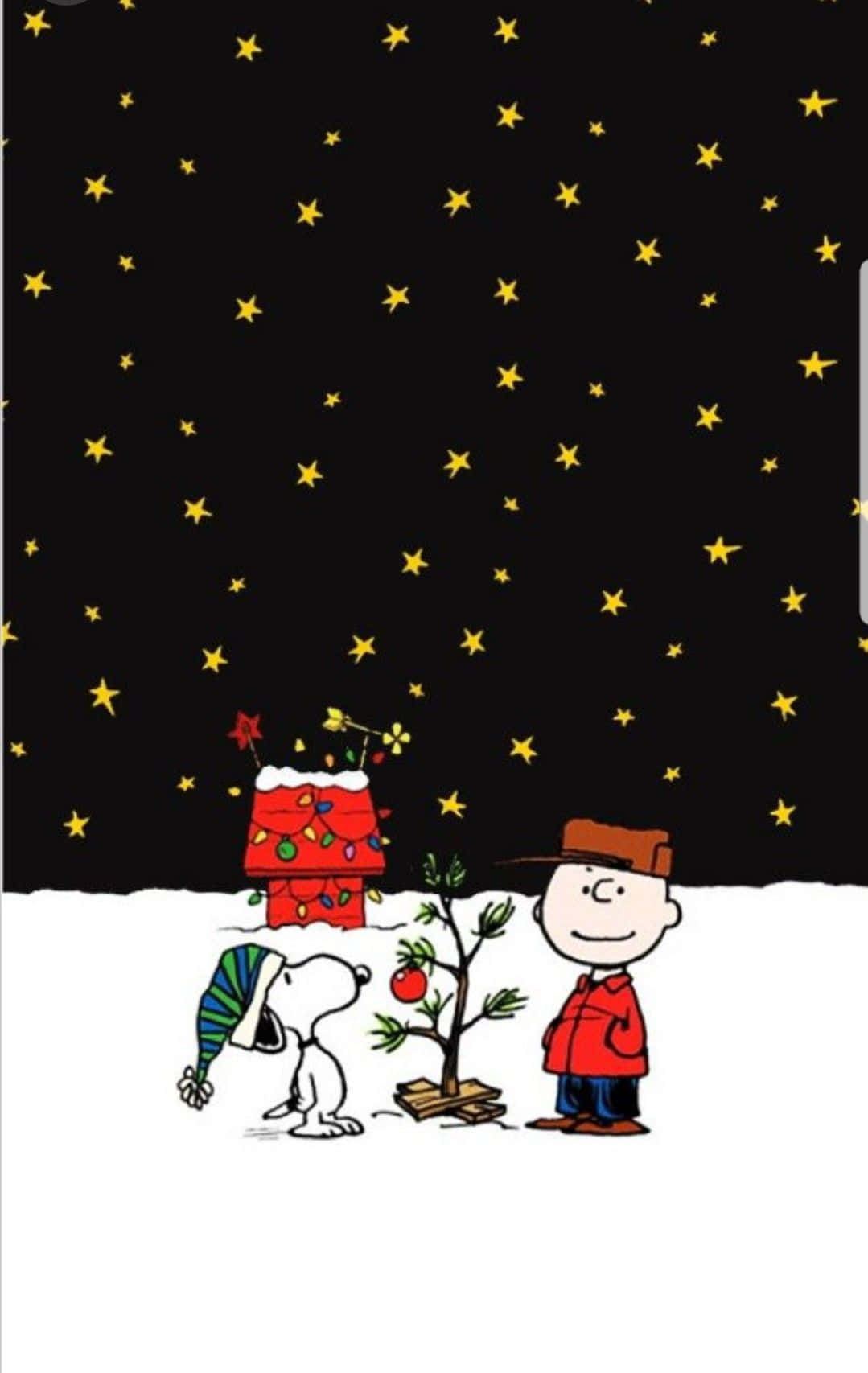 かわいいスヌーピーのクリスマス、星が輝く暗い夕方 壁紙