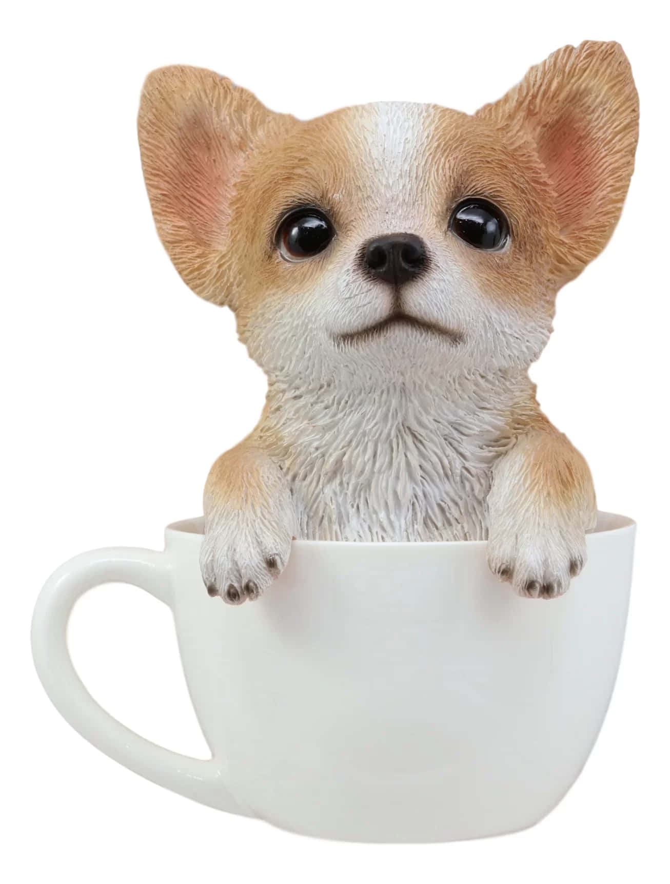 「かわいいティーカップ・チワワ」 壁紙