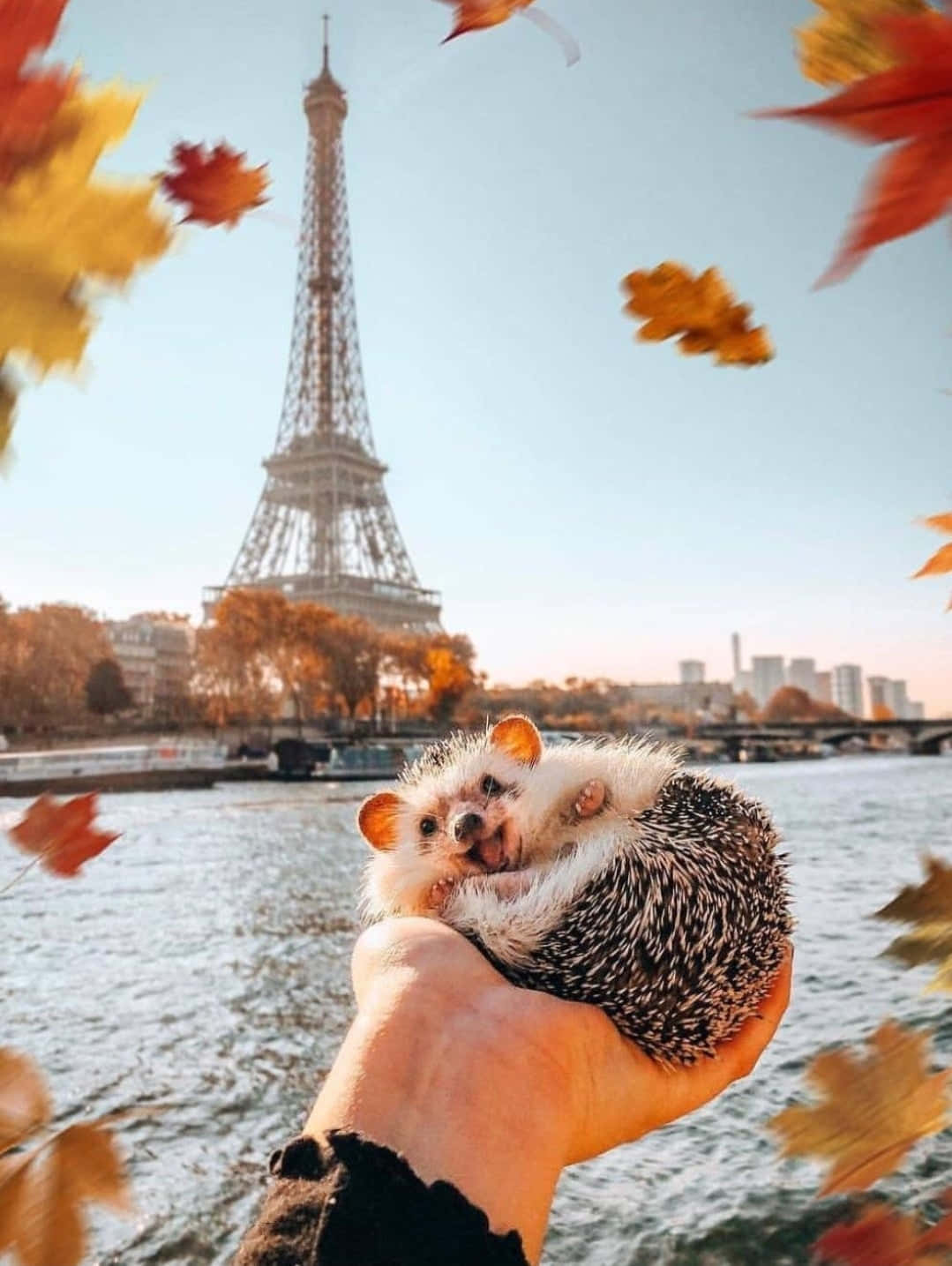 かわいいハリネズミと秋のエッフェル塔の風景 壁紙