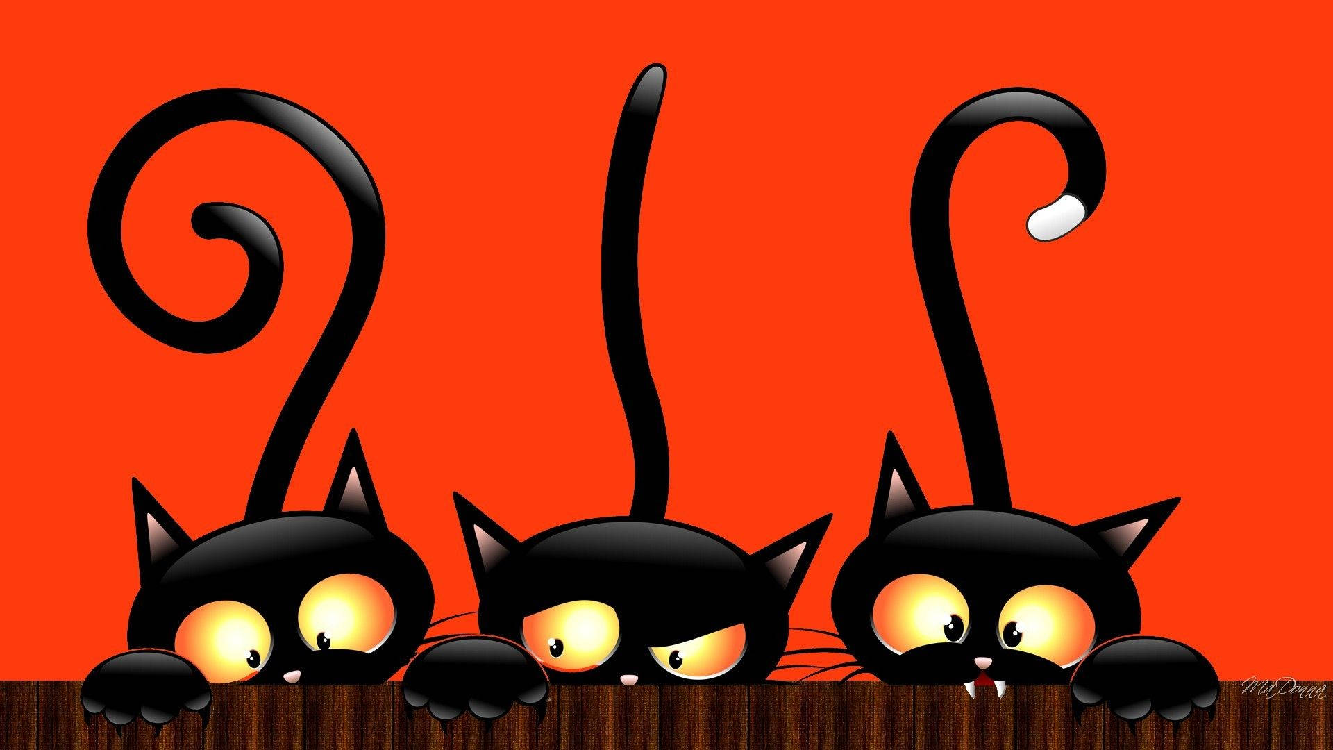 かわいいハロウィンの黒猫 壁紙