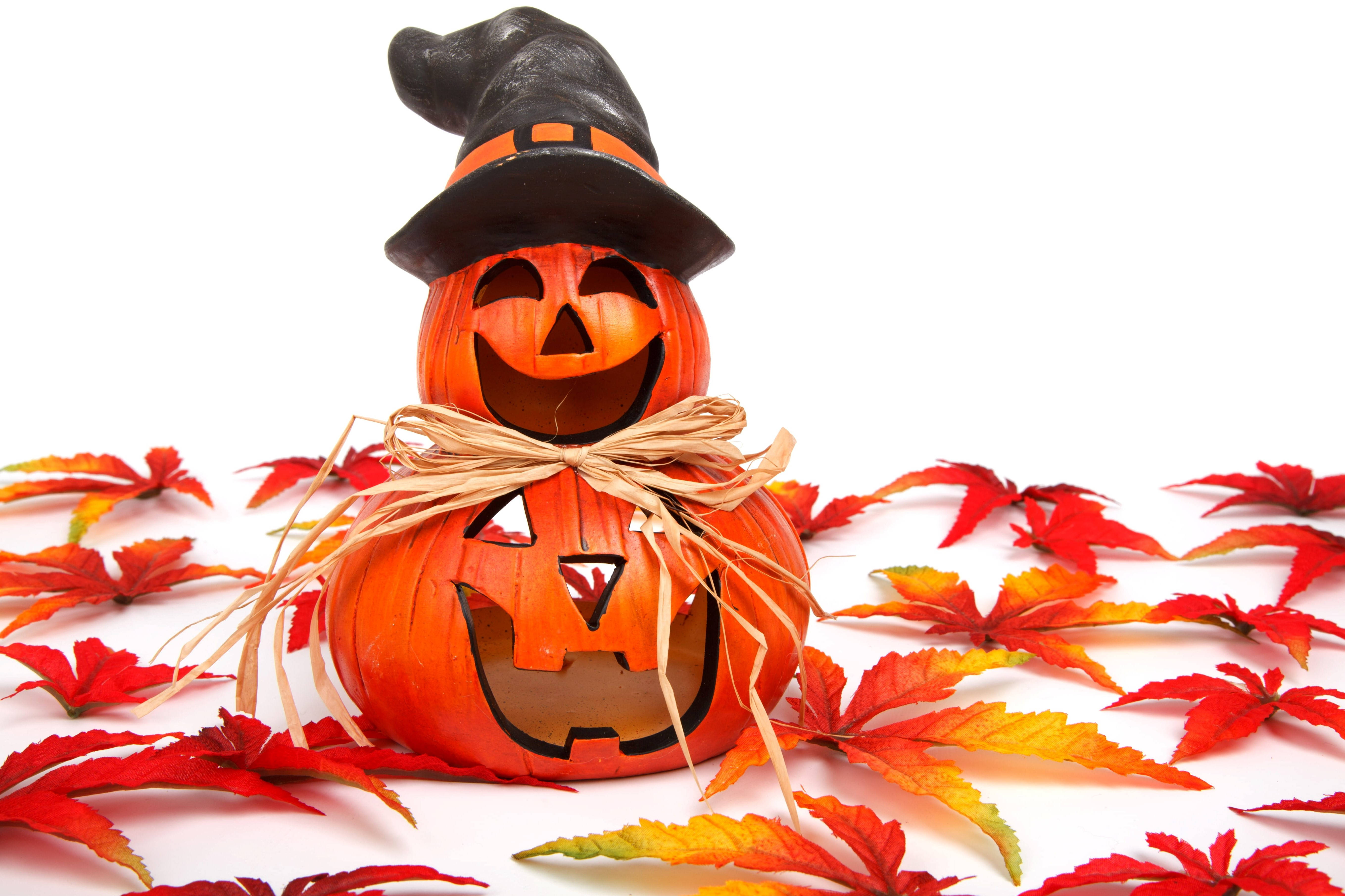 かわいいハロウィン秋のジャック・オー・ランタン 壁紙