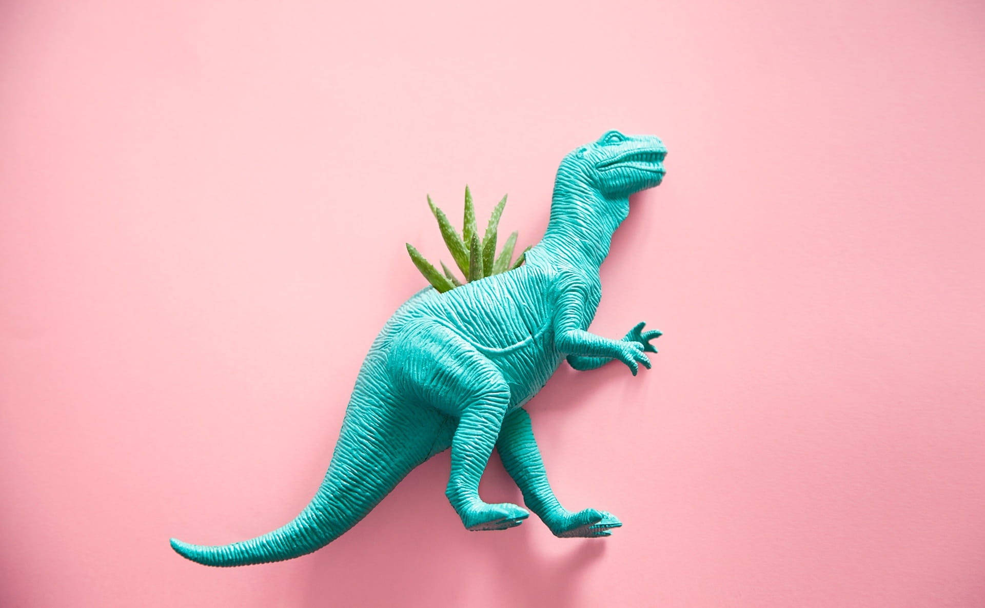 かわいいピンクの恐竜ティラノサウルスと植物 壁紙
