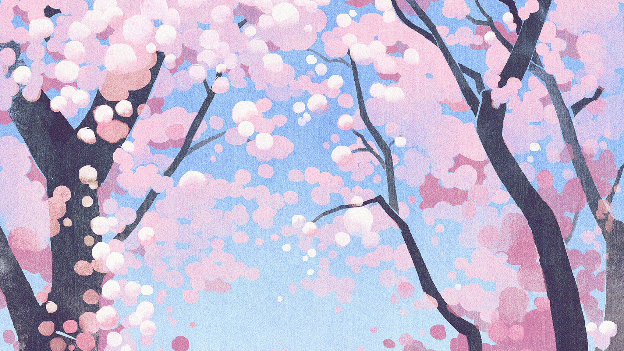 かわいいピンクの桜 壁紙