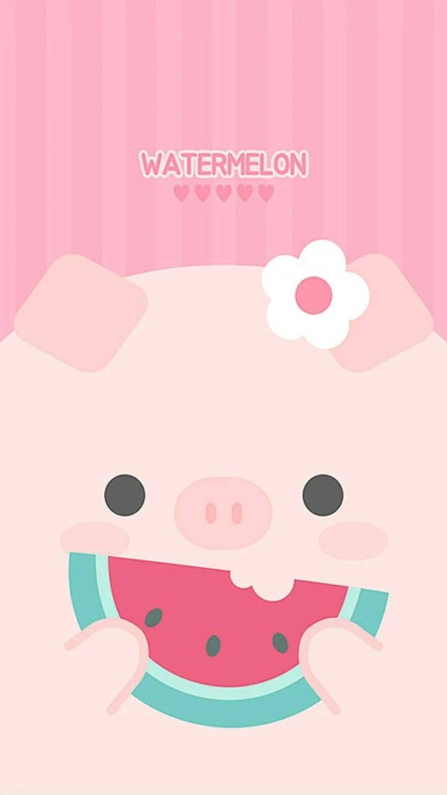 かわいいブタとスイカ 壁紙