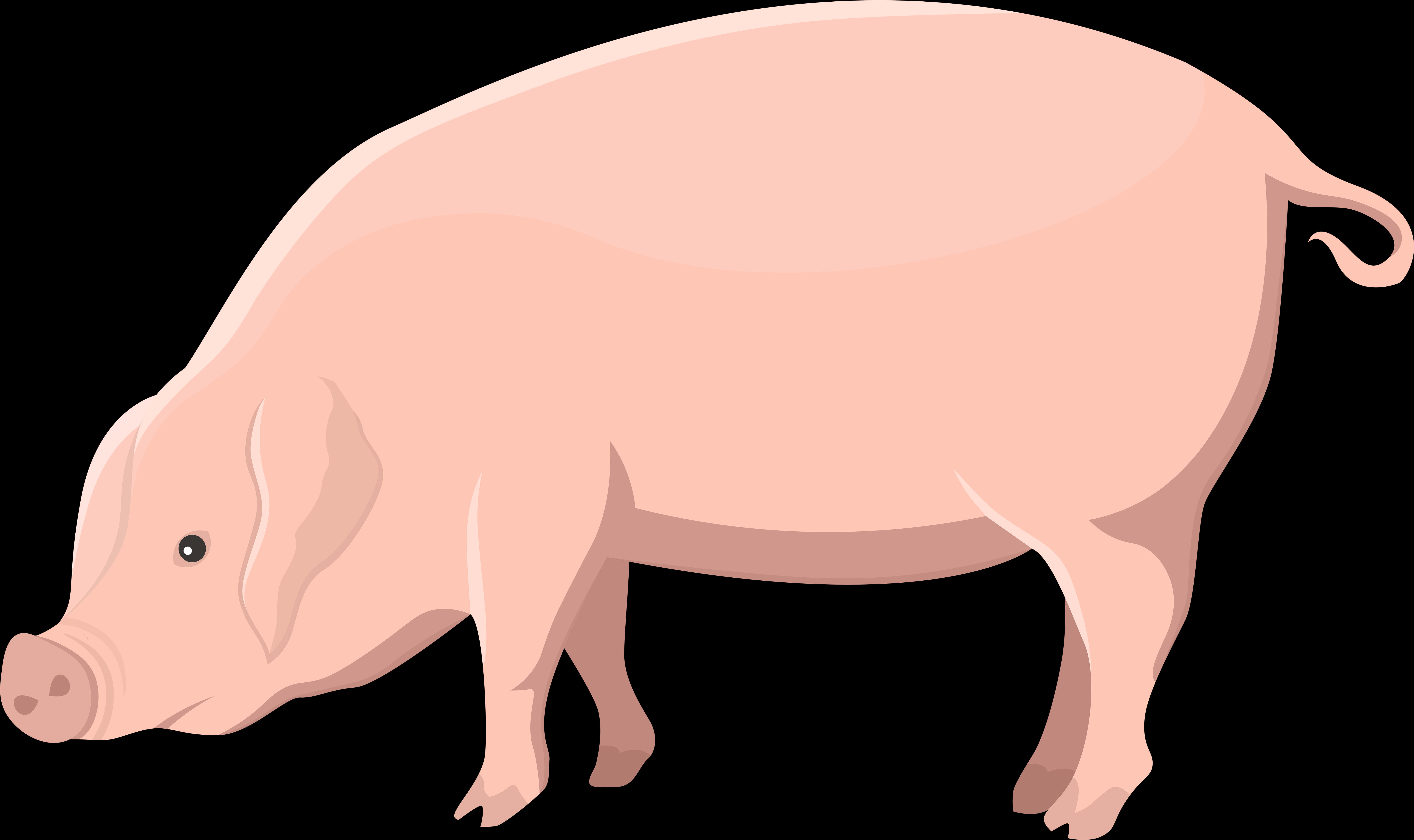 かわいいブタのイラスト 壁紙